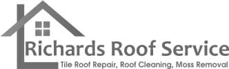 Richards Roof Service website